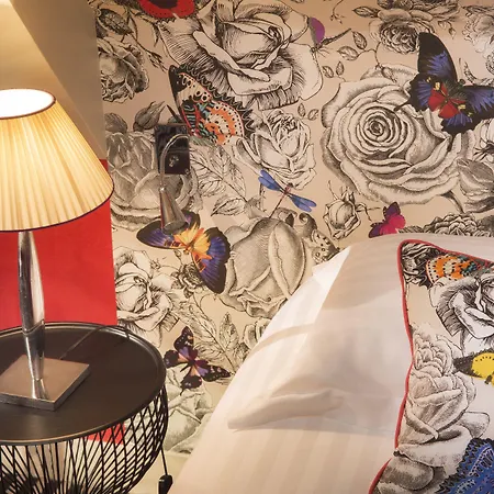 Western Anjou Lafayette