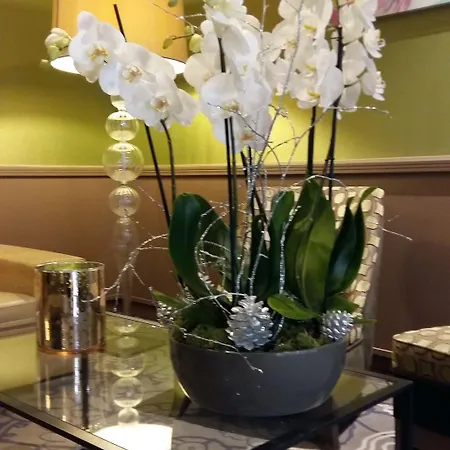 Western Anjou Lafayette Paříž