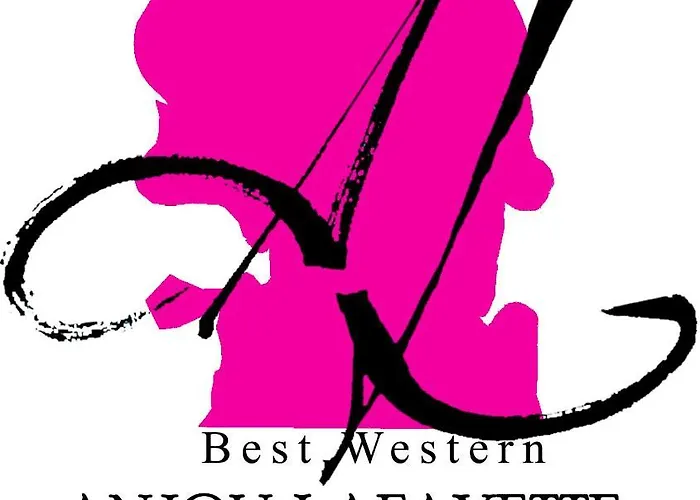 Western Anjou Lafayette