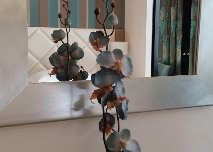 Western Anjou Lafayette Hotel 3*