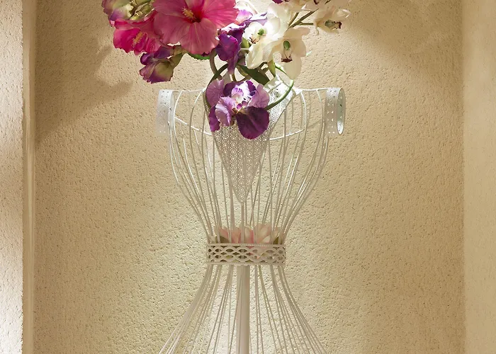 Western Anjou Lafayette Parijs