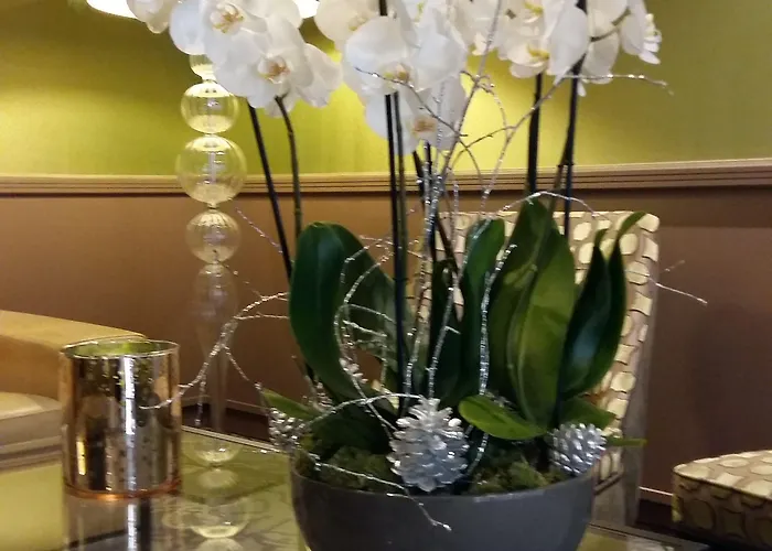 Western Anjou Lafayette Parijs